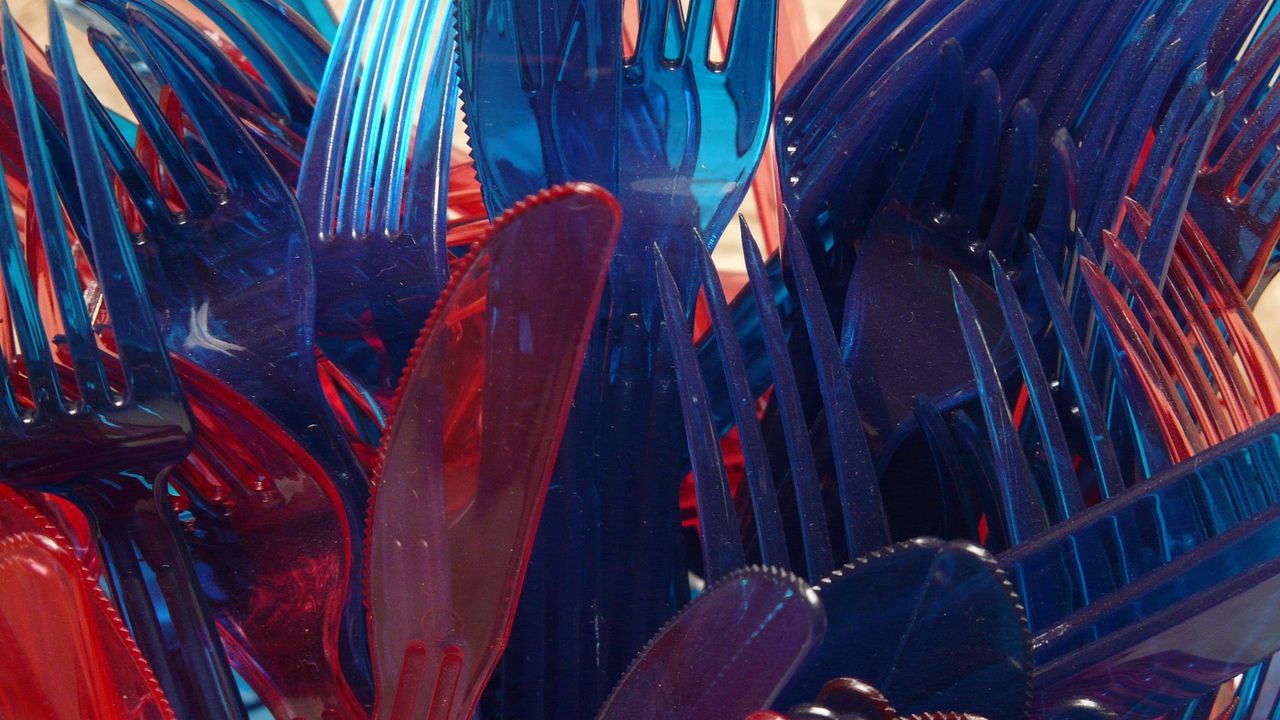 How Do Cells React to Nanoplastics?