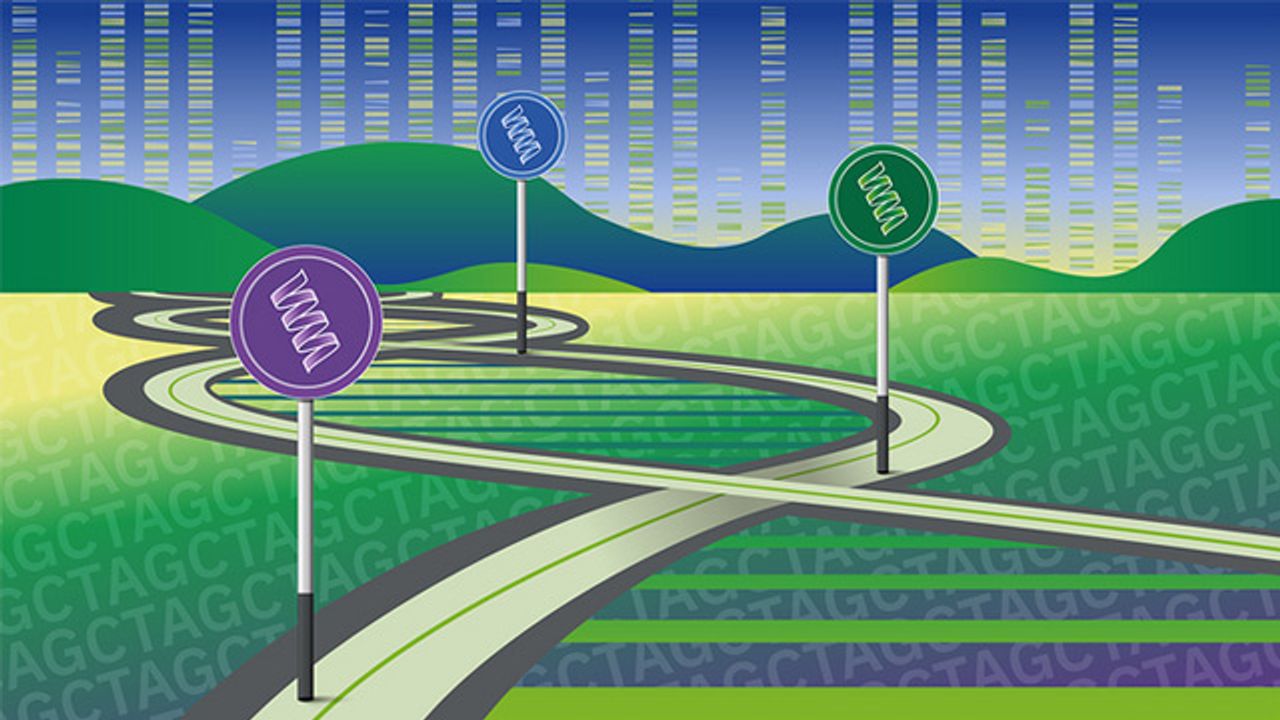 New Roadmap for Integrating Unchartered Genes Into Genome Databases