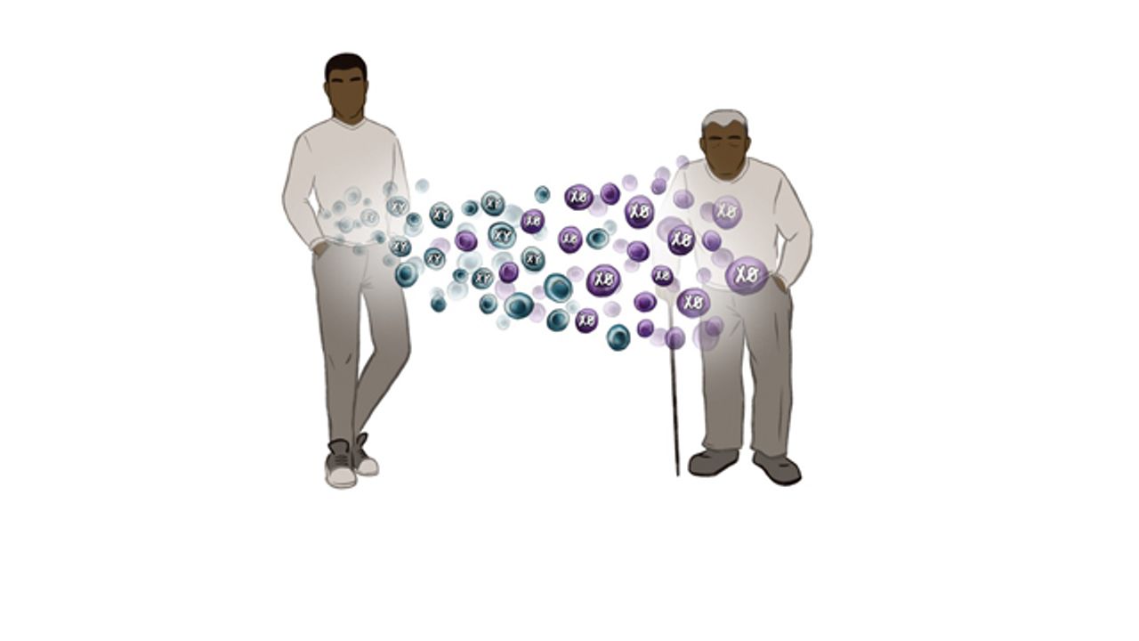 Loss of Y Chromosome A Cause of Earlier Death in Men?