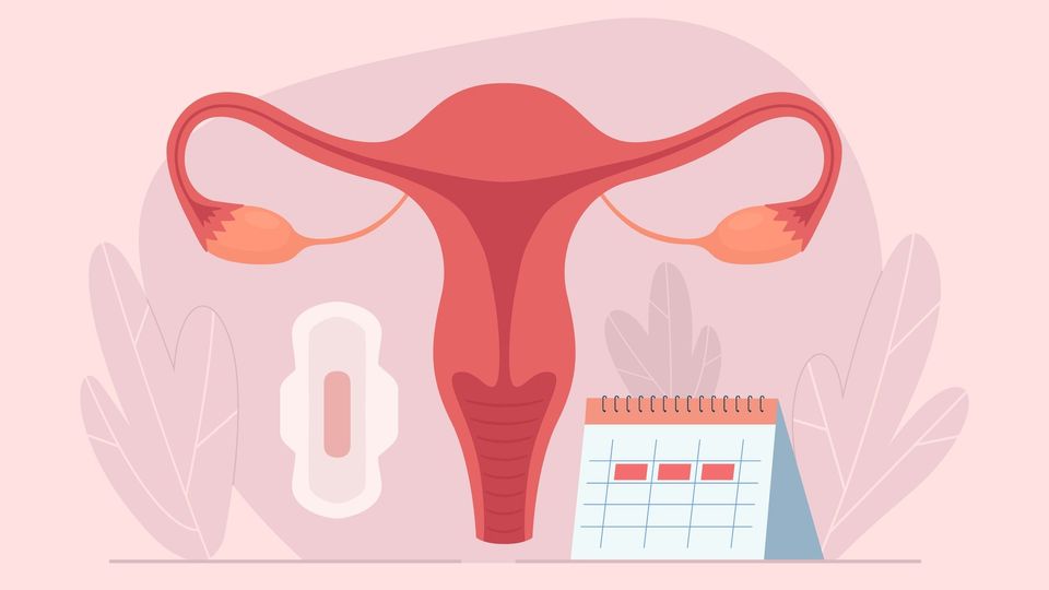 Menstrual Cycle Changes Associated With COVID-19 Vaccine content piece image