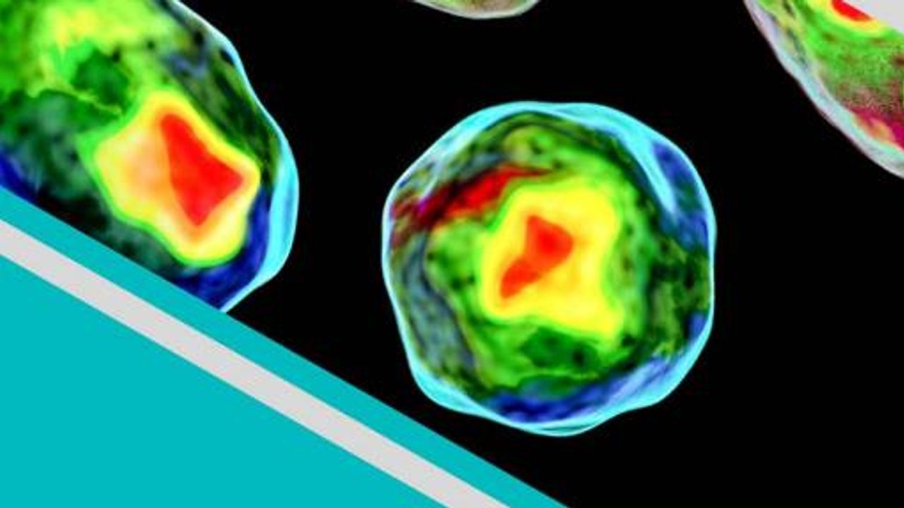Accelerating Drug Discovery Workflows With Flow Cytometry