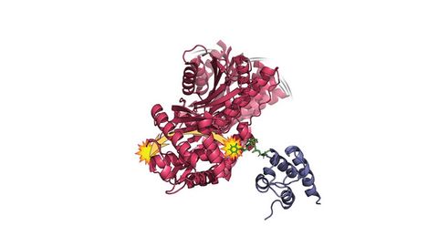 Wobbles, Shakes and Quivers Central to Protein Function