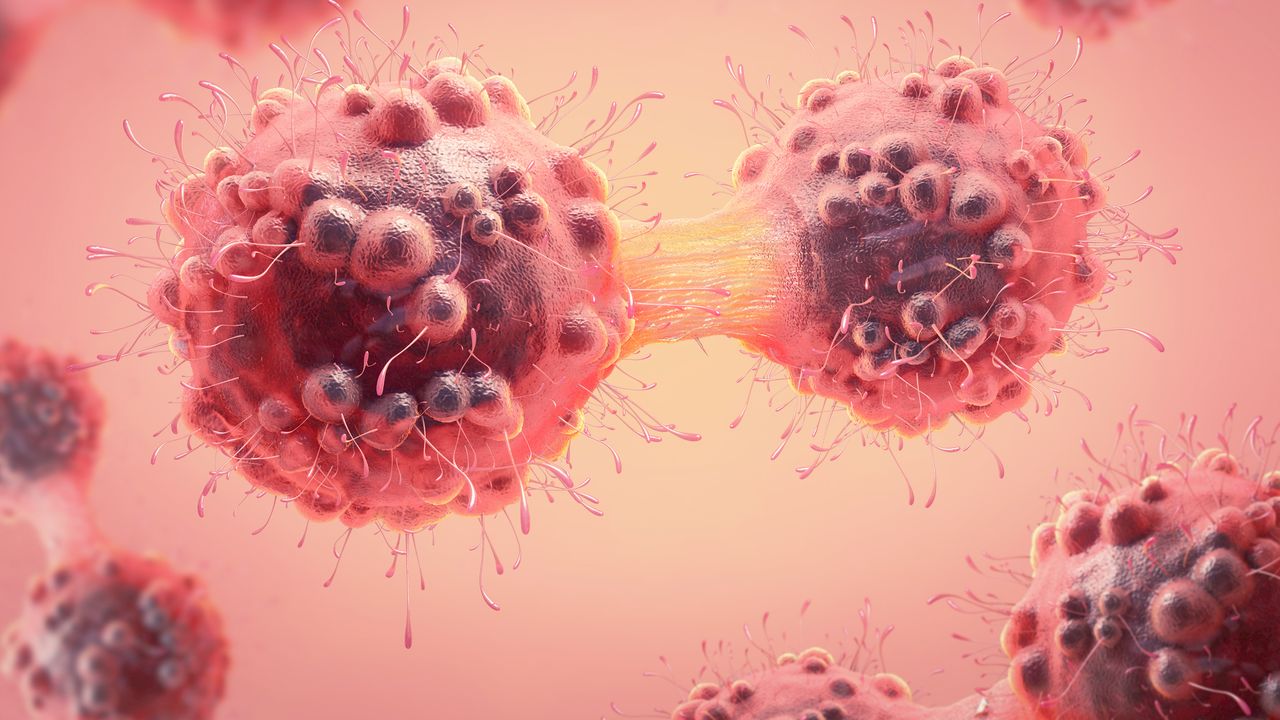 How Mechanical Forces Behind Protein Folding Influence Cancer Metastasis
