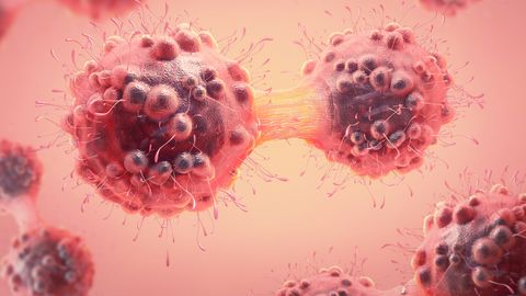 How Mechanical Forces Behind Protein Folding Influence Cancer Metastasis