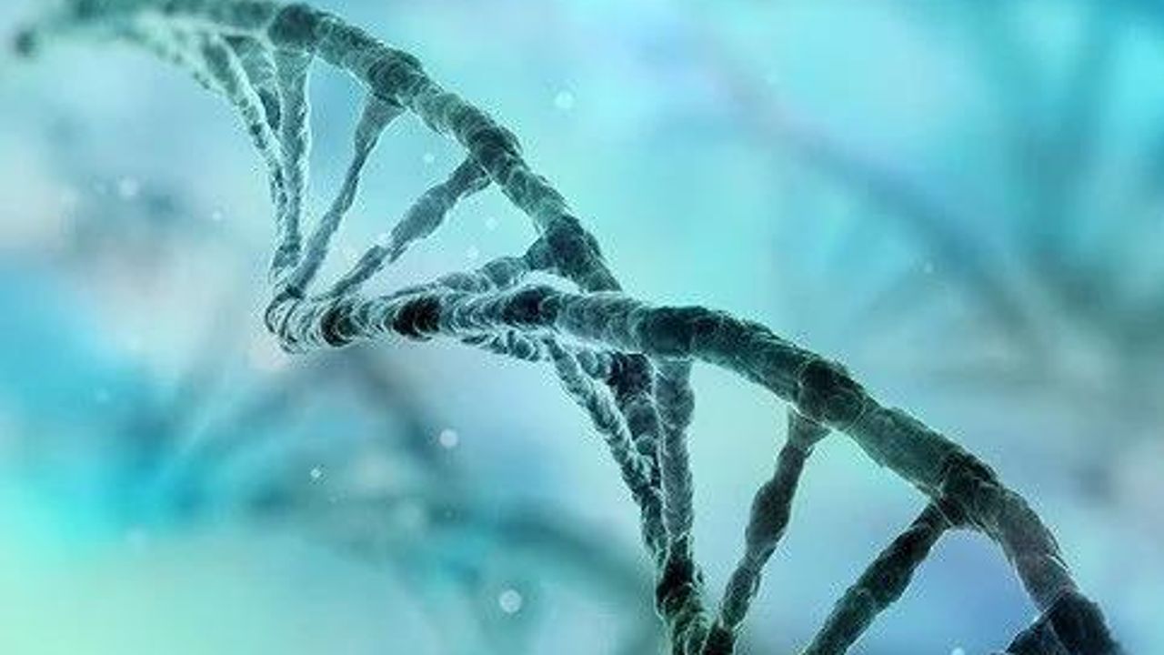Advance Your Work in Molecular Diagnostics