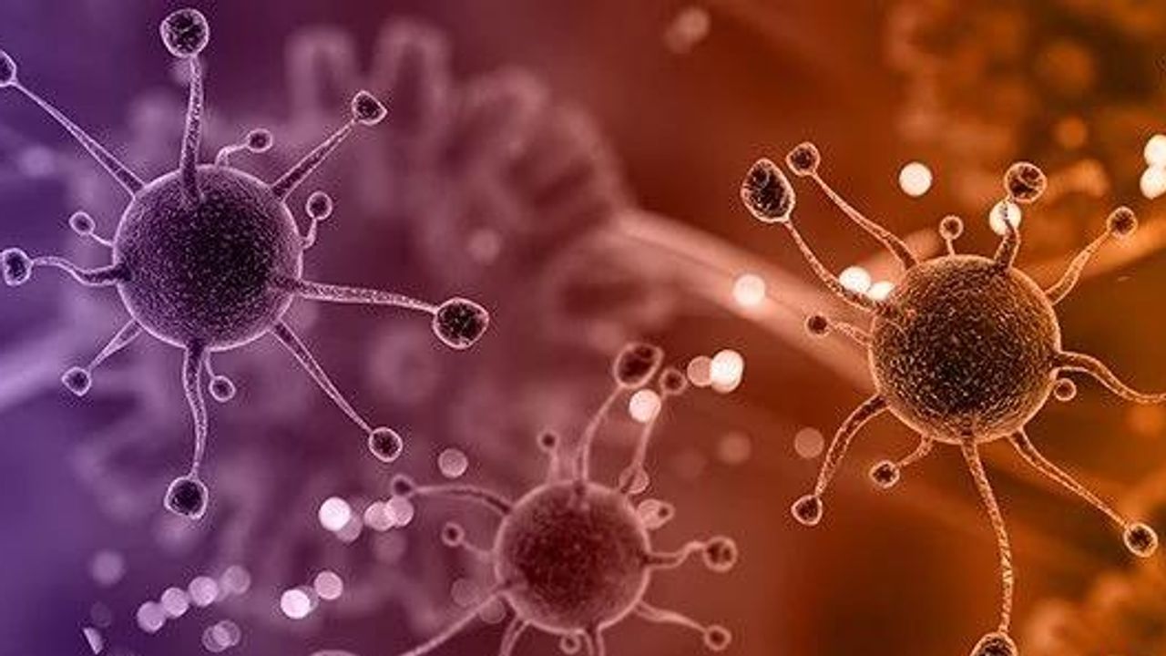Conducting Research on Highly Pathogenic Viruses Using Virus Pseudotypes