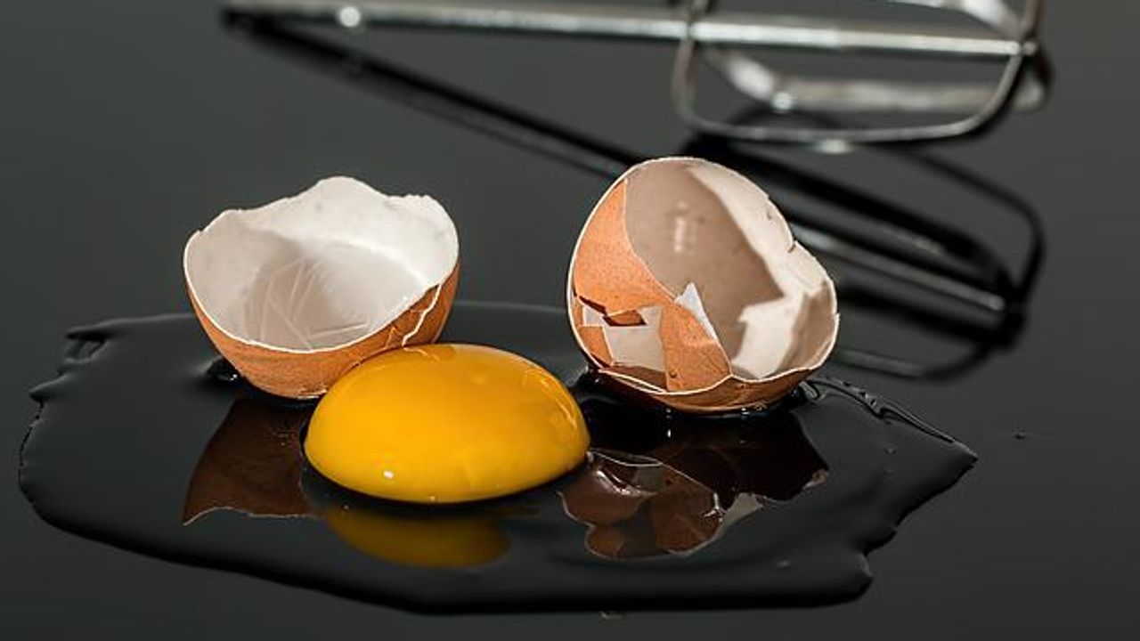 New Gel Protects Eggs and May Lead to Better Sports Helmets
