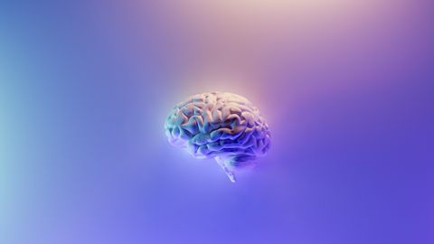 Genetic Link Between Alzheimer’s Disease and Multiple Gut Disorders Confirmed