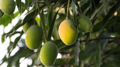 How Well Are We Progressing Towards Eco-Friendly Pest Management?