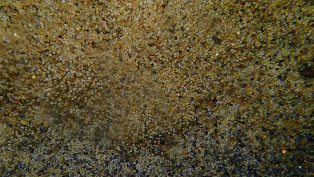 Shipwreck Provides Real-World Lab To Study Plastic Degradation