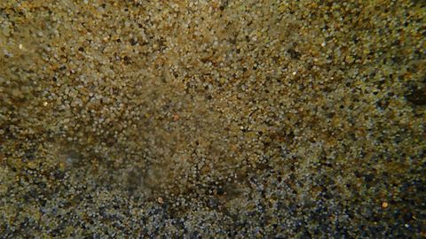 Shipwreck Provides Real-World Lab To Study Plastic Degradation