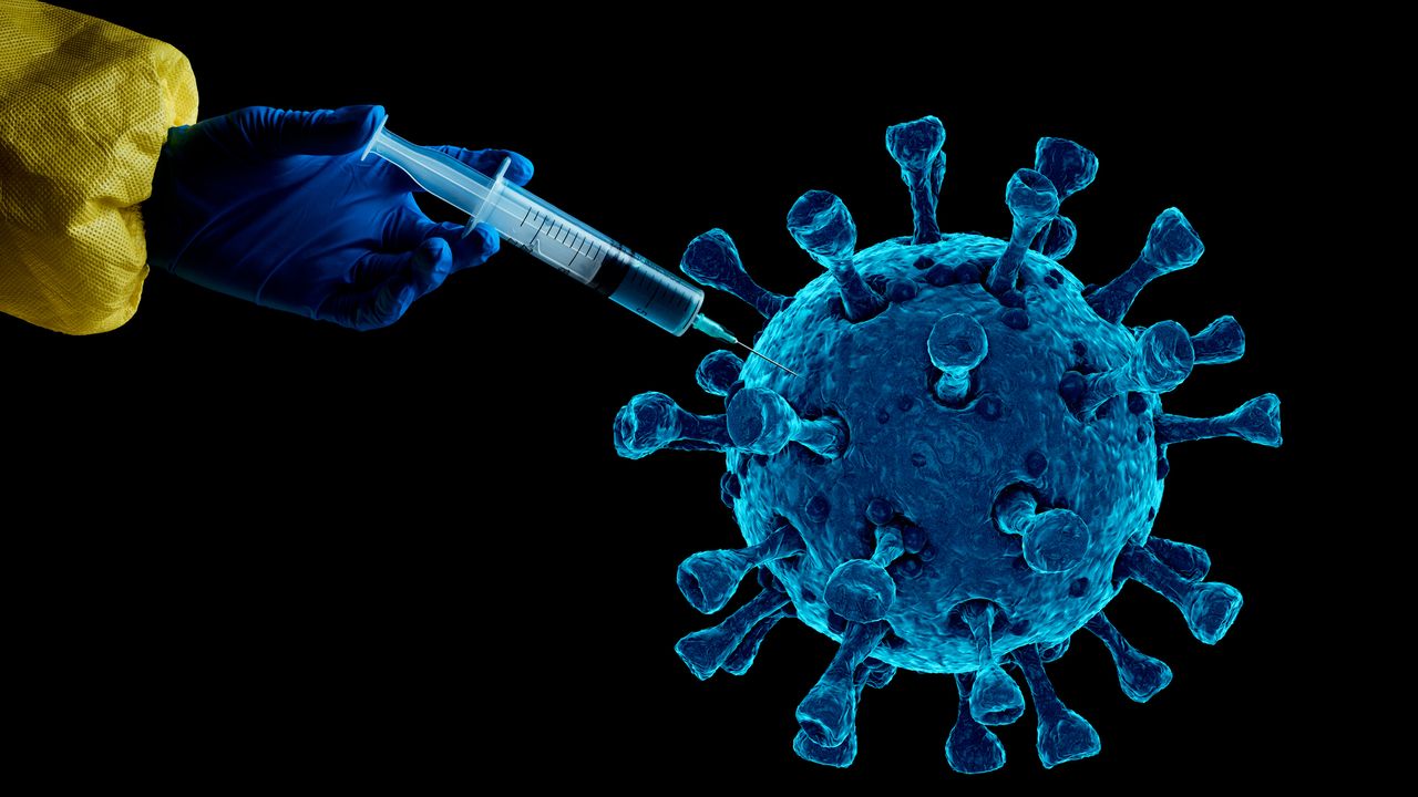 Immune Response to Omicron Wanes Substantially Over Time Post-Vaccination