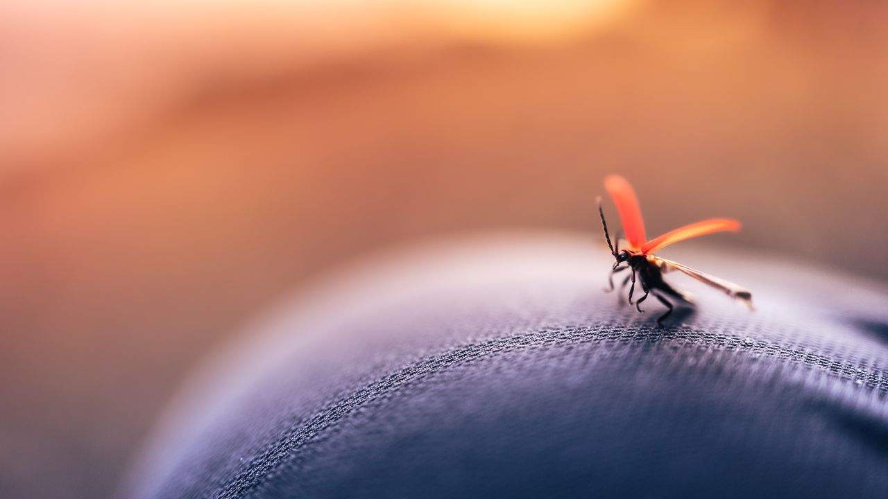 Testing Malaria Vaccines in the Clinic Is Just As Rigorous as Natural Exposure