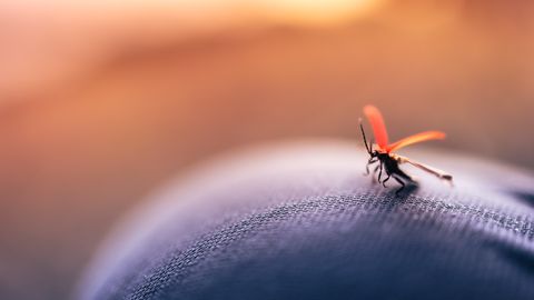 Testing Malaria Vaccines in the Clinic Is Just As Rigorous as Natural Exposure