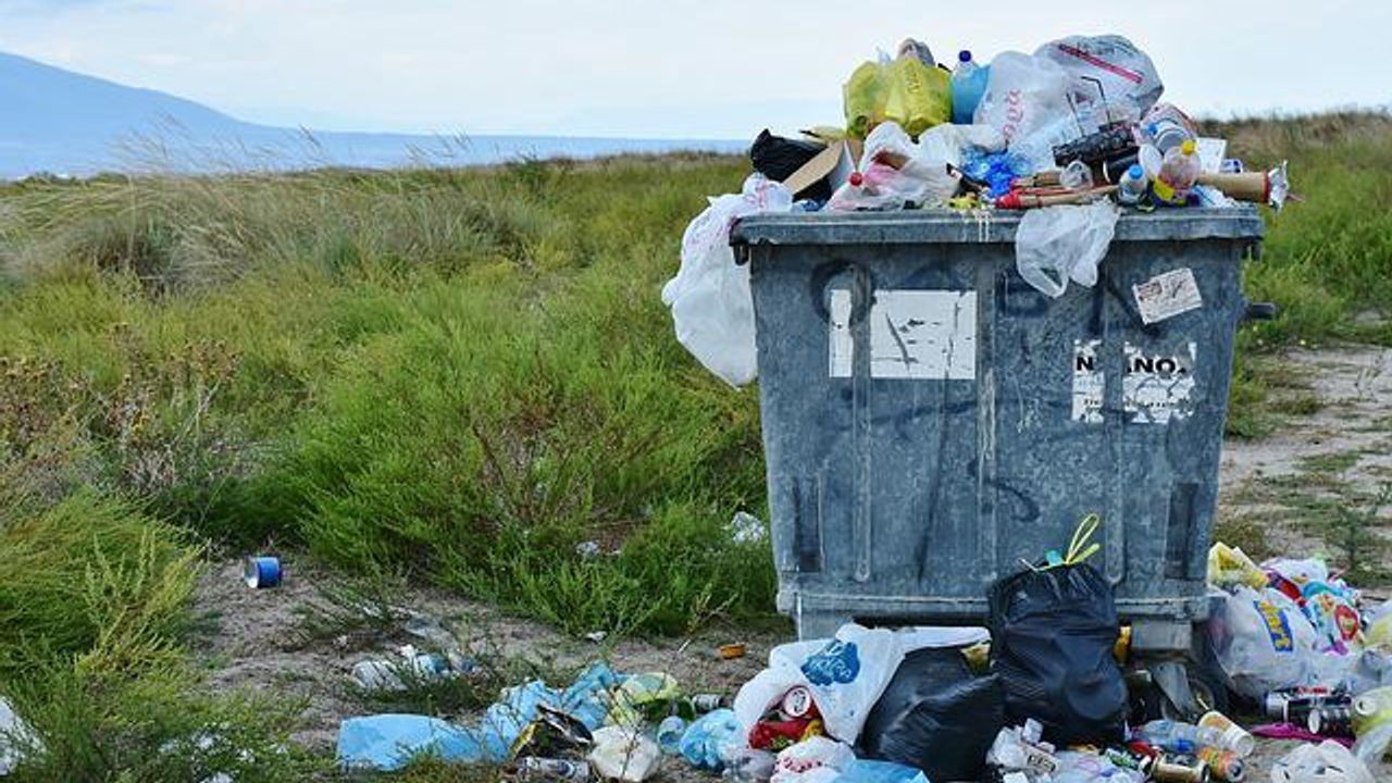 Meet the Microbes that Could Eat Your Trash