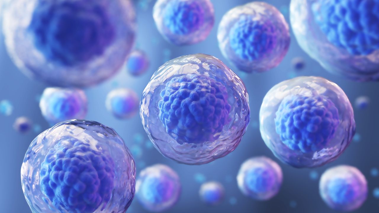 Egg Cells Maintain Reproductive Longevity by Switching to "Standby Mode"