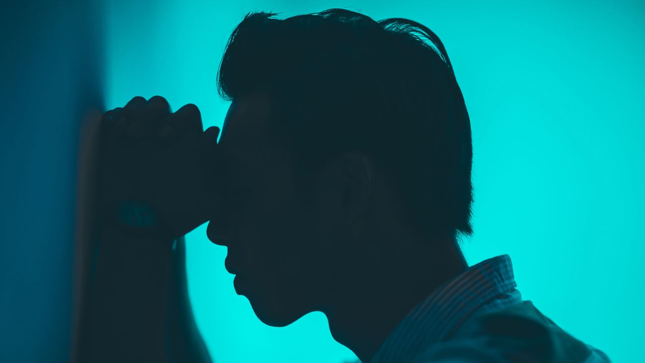 How the Brain Chooses Between Pain and Profit