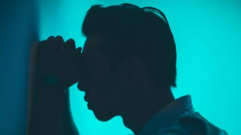 How the Brain Chooses Between Pain and Profit