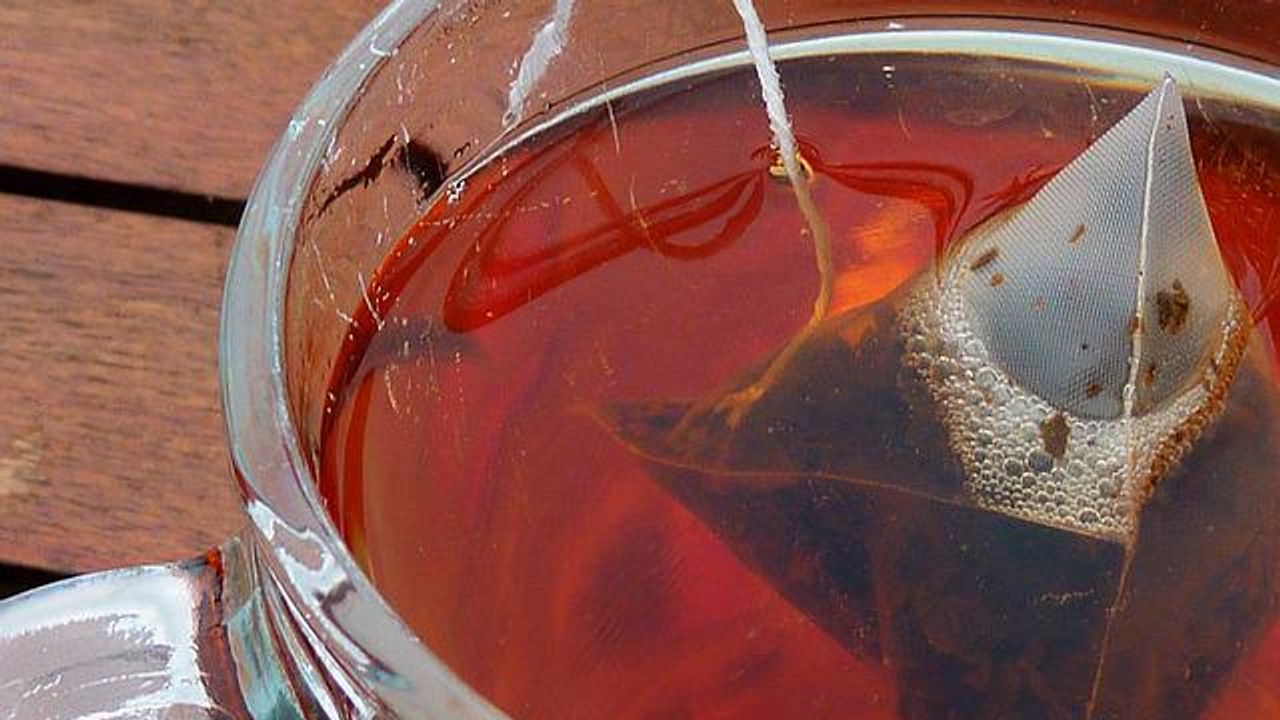 There's DNA From Hundreds of Insects In Your Tea