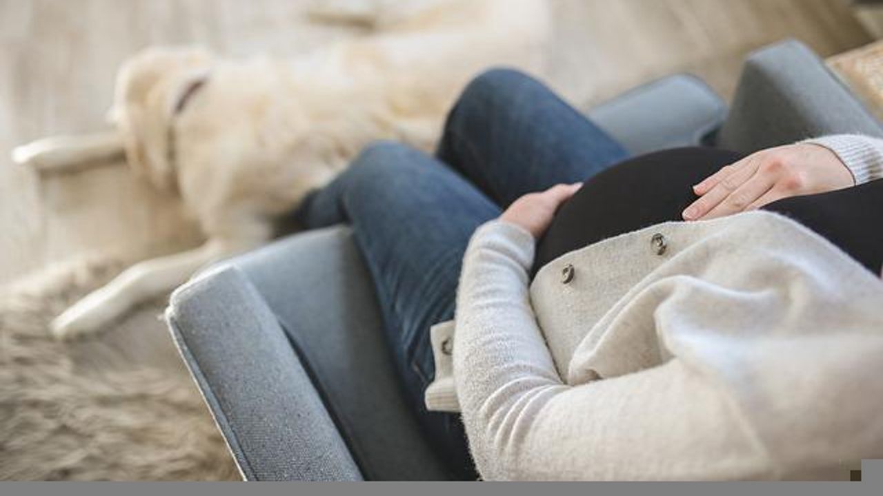 Could Prenatal Exposure to Environmental Pollutants Increase the Risk of Diabetes?