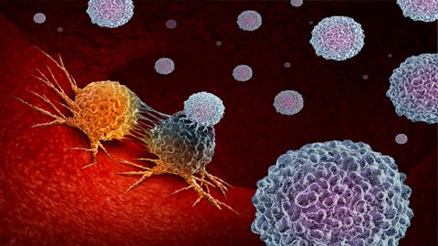 Strengthening CAR T Cell Cancer Treatment