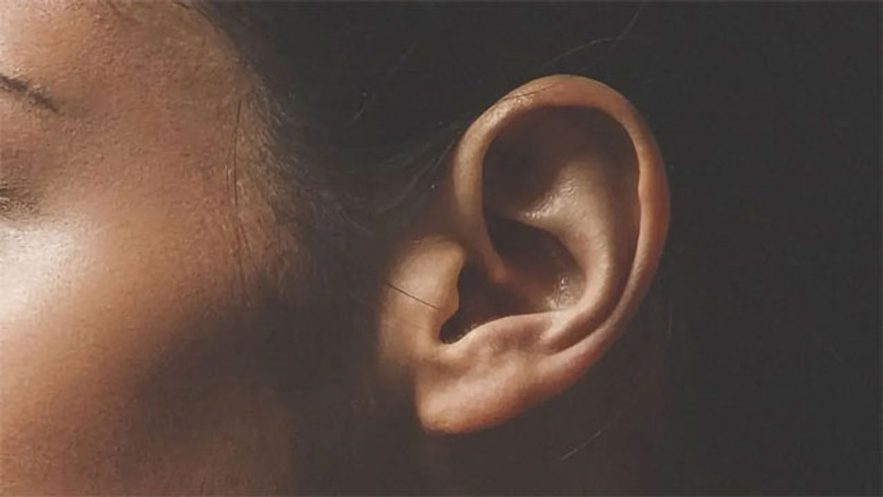 A Molecular "Spring" Protects Our Hearing From Damage