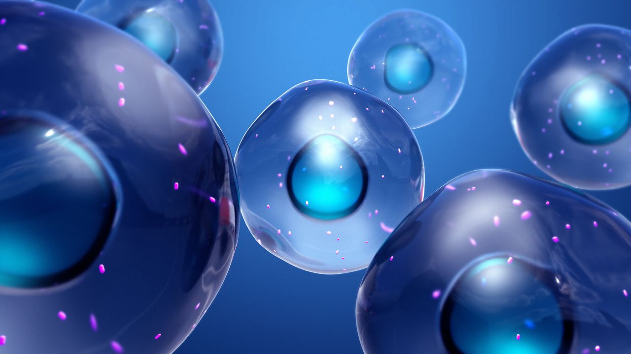 Drug Delivery “Bottleneck” Identified in Stem Cells