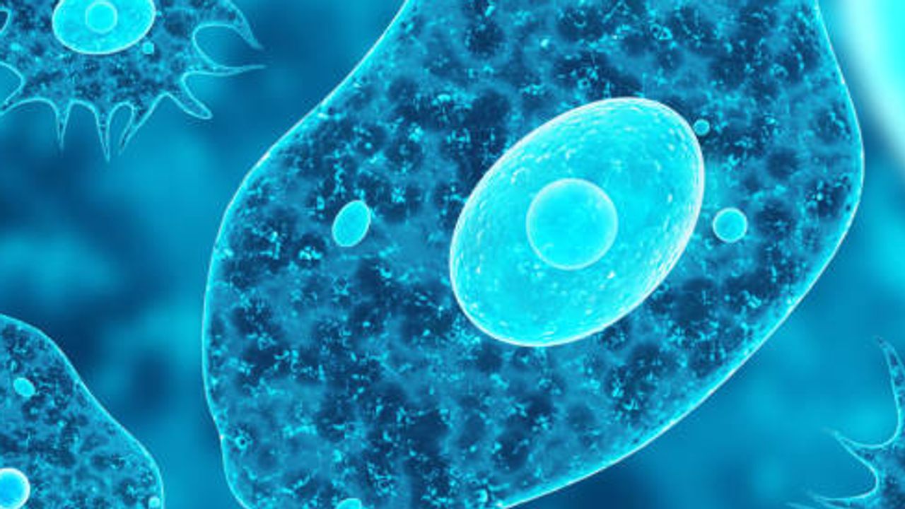 Progress Towards Out-of-the-Box Sub-Cellular Imaging