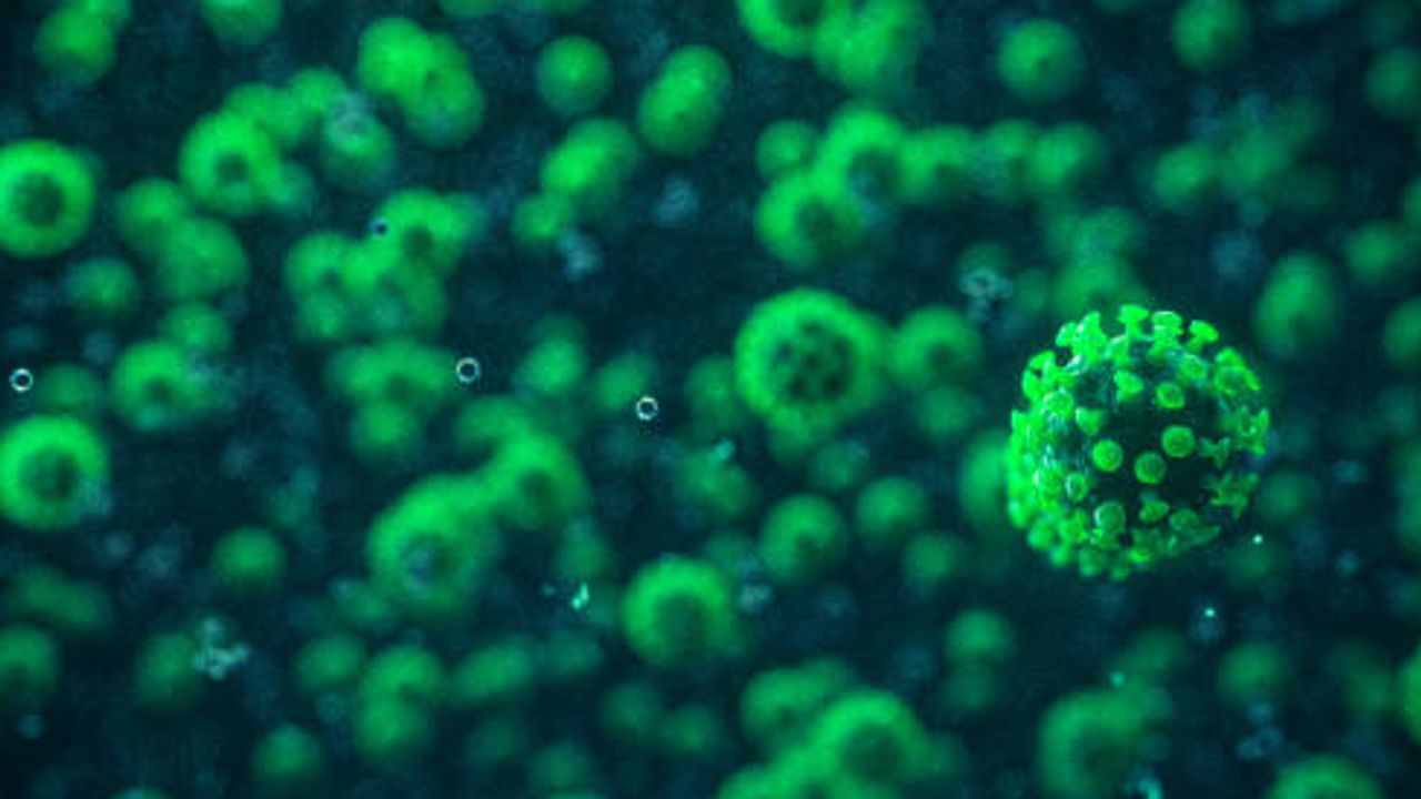 Get the Gene-Edited Cell Lines You Need