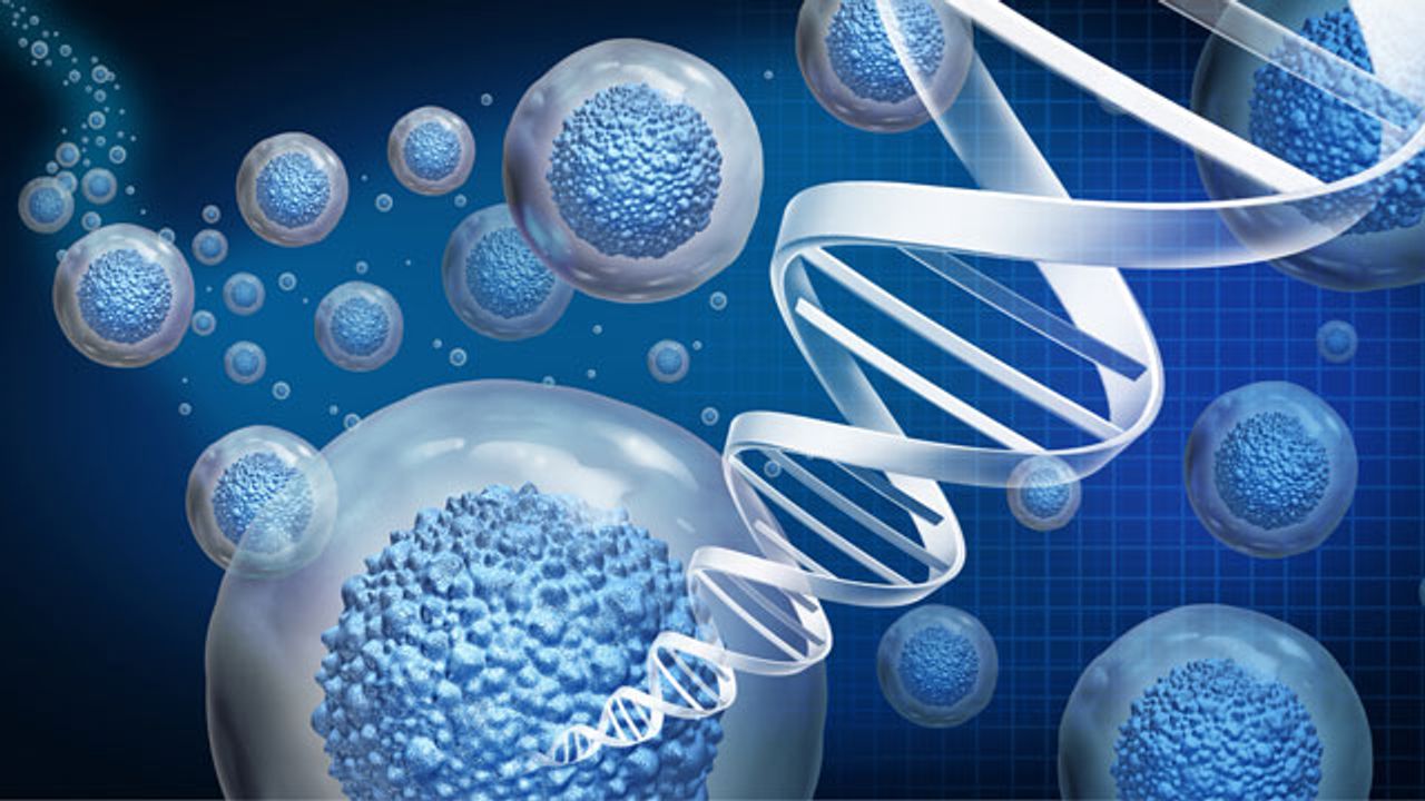 Exploring Flow Electroporation for Cell Engineering