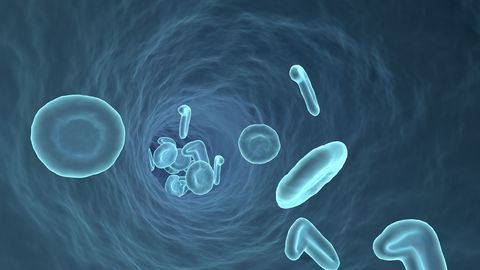 How Do Cells Move Faster Through Mucus Than Blood?