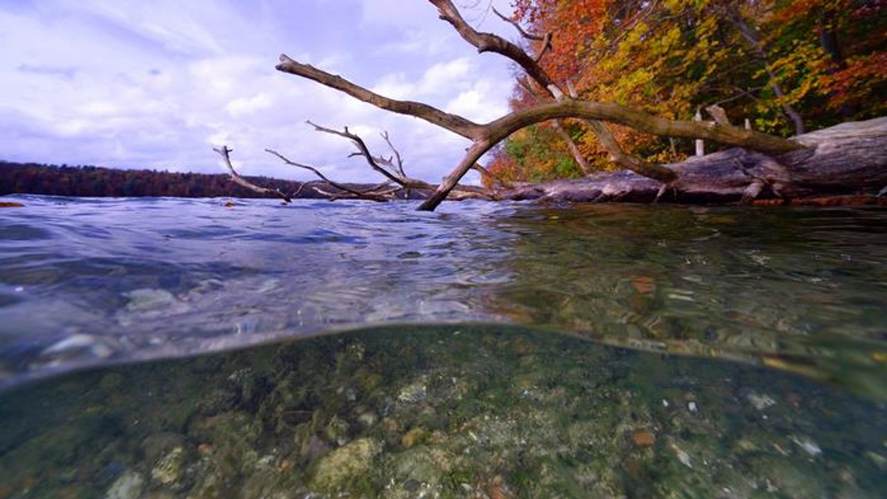 Impact of Urbanization on Water Sources Revealed by Bacterial Community Signatures
