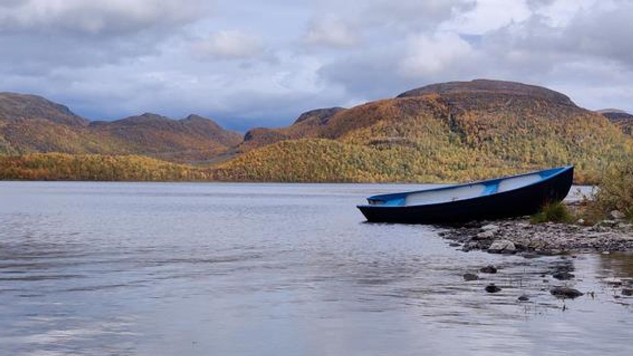 Bacteria Could Be Used To Remove Plastic Pollution From Lakes
