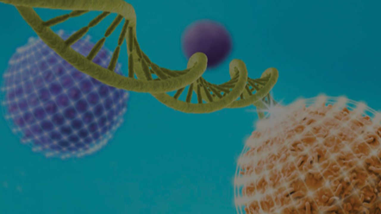 Catapult Your Cell Therapy Research Into the Clinic: CAR T Cell