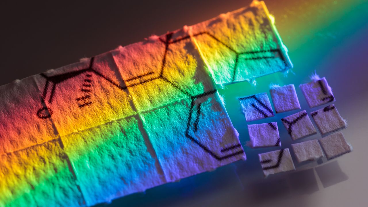 Our DNA Could Affect the Potency of Psychedelics in the Brain