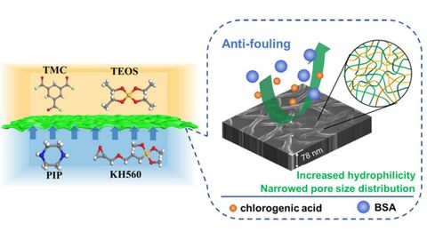 Nanofiltration Membranes Improved by Regulating Pore Size Distributions