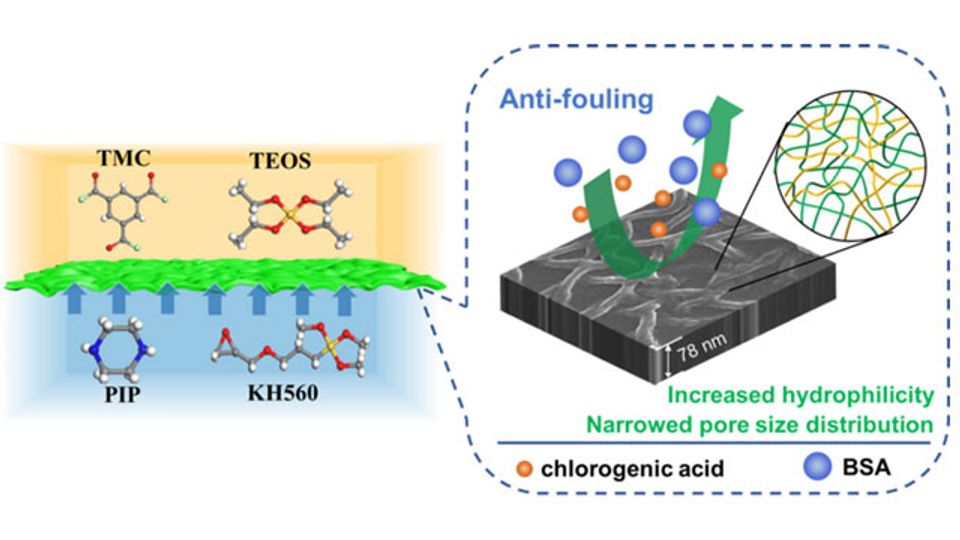 Nanofiltration Membranes Improved by Regulating Pore Size Distributions content piece image