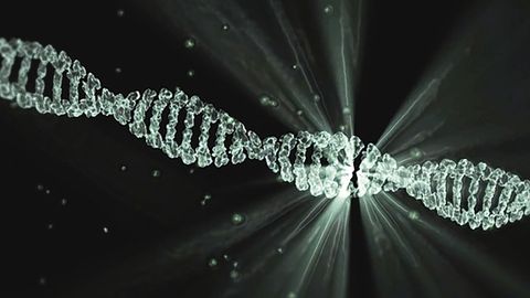 T Cells Need Tiny Changes To Help Them Survive