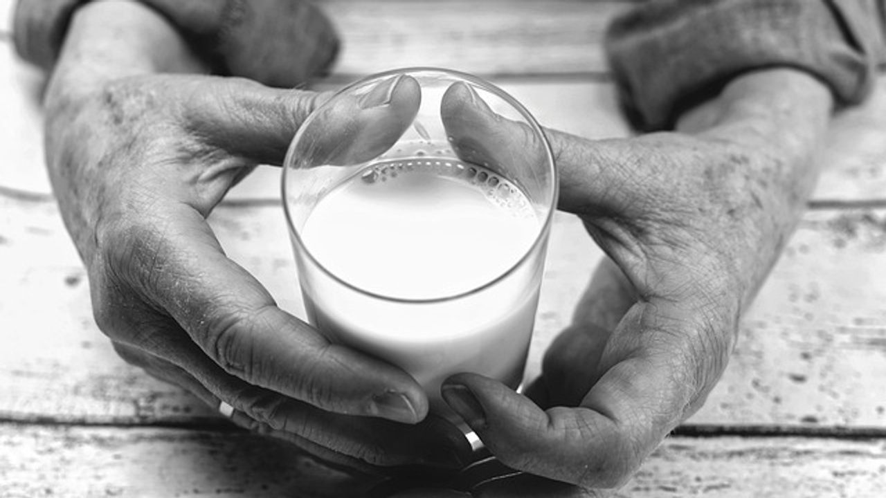 Evolution of Lactose Tolerance Driven by Disease and Famine