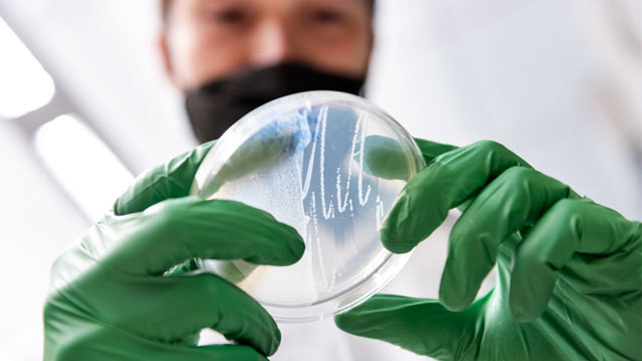 DNA "Receipt Book" Records Cells' Gene Expression