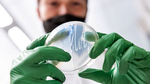 DNA "Receipt Book" Records Cells' Gene Expression