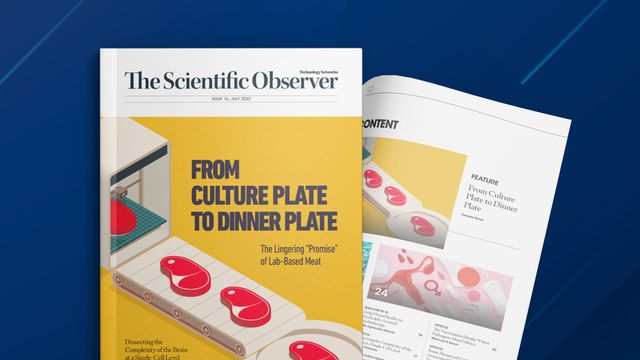 The Scientific Observer Issue 16 | Technology Networks