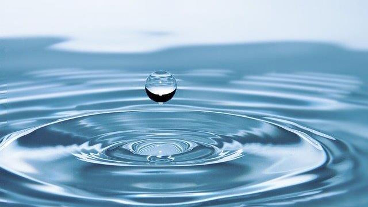 Efficient Technique Removes Ammonia From Agricultural Wastewater