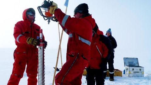 "Forever Chemicals" Reaching Antarctica Have Been Increasing