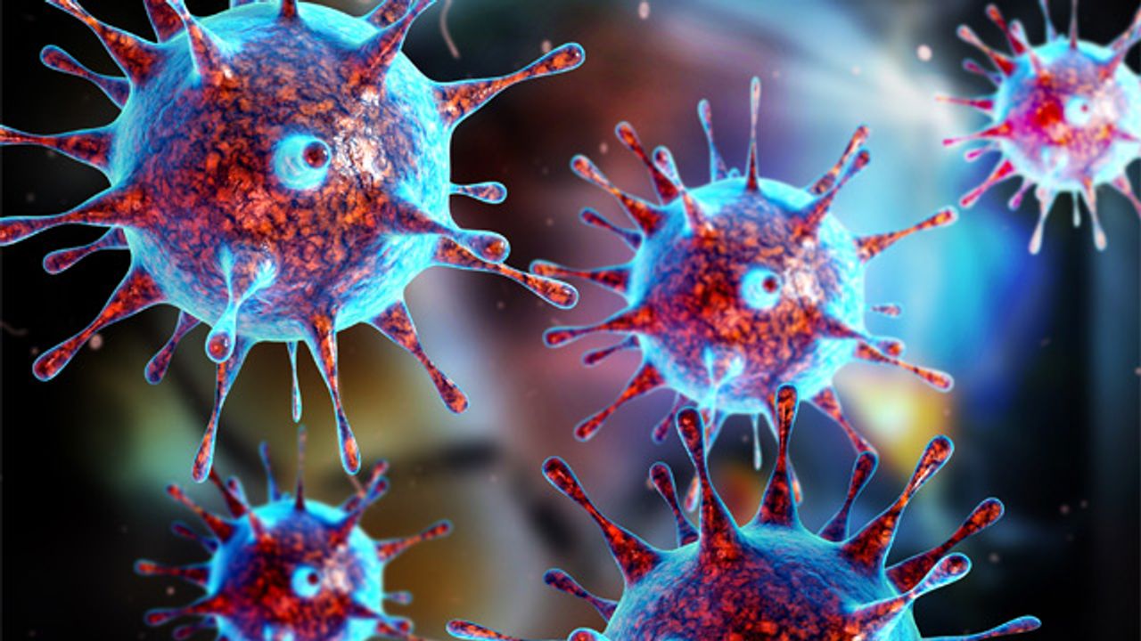 Optimized Lentiviral Vectors To Speed Up Your Research