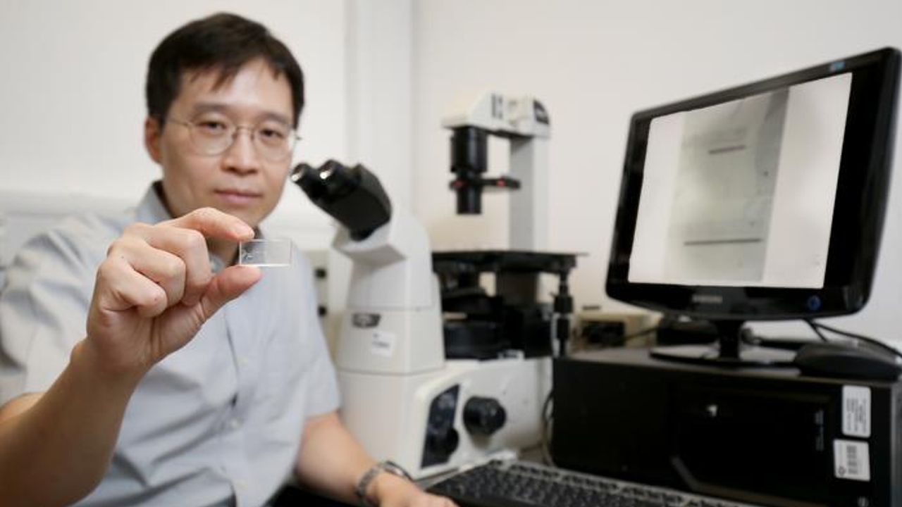 New Test Rapidly Measures SARS-CoV-2 Antibody Levels