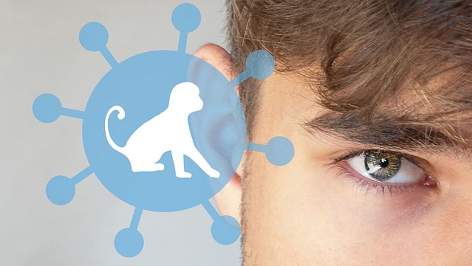 Monkeypox Outbreak content piece image