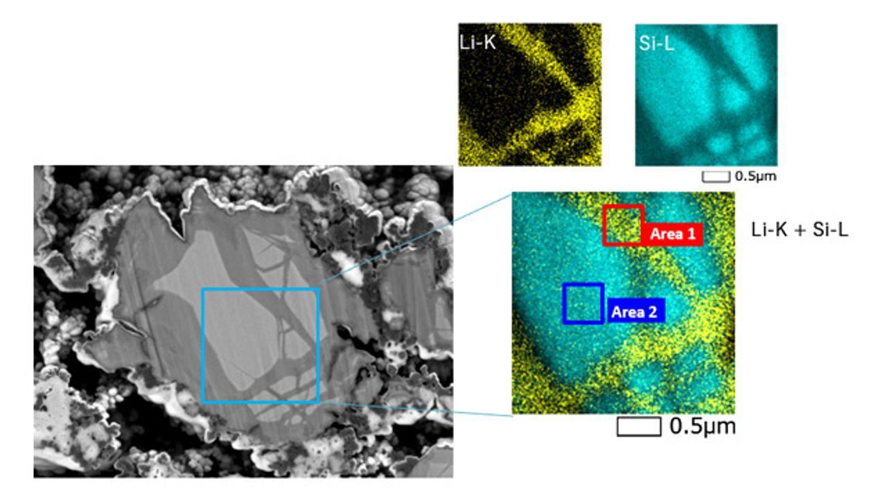 New Gather-X Windowless EDS from JEOL Answers the Need for Higher Sensitivity and Low-Energy X-Ray Detection in SEM