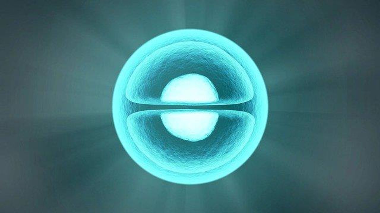 How an Enzyme and Proteins Work Together To Tidy Up DNA in Dividing Cells