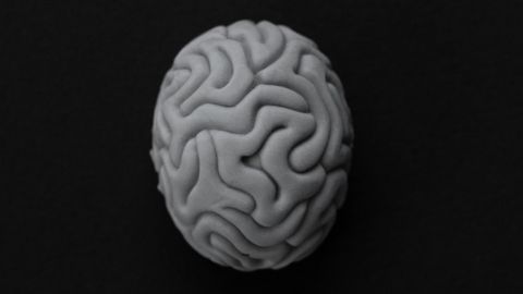 ALS Gene Therapy Approach Shows Promise in Animal Study